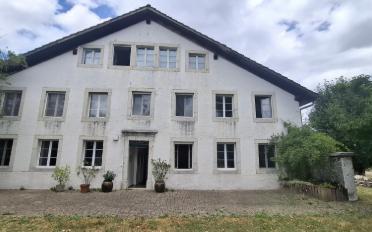 Wohnung 3.5 Zimmer - image - 1