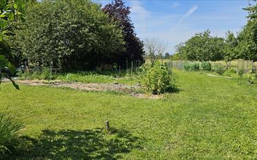 Schrebergarten - image - 2