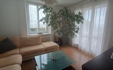 Wohnung 4 Zimmer - image - 2