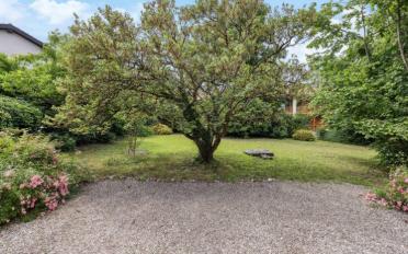 Einfamilienhaus 10 Zimmer - image - 8