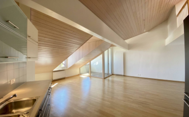 Wohnung 4.5 Zimmer - image - 3