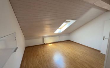 Attic flat 7 rooms - image - 7