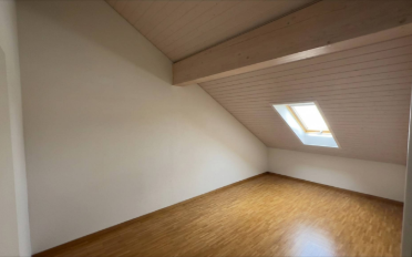 Attic flat 7 rooms - image - 8
