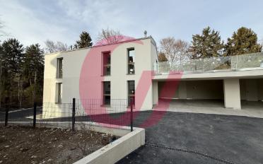Duplex 5.5 pièces - image - 7