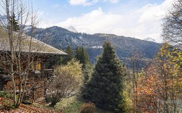 Chalet 6 rooms - image - 3