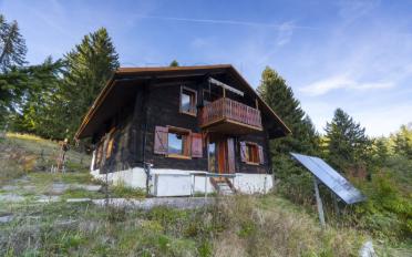 Chalet 7 Zimmer - image - 6