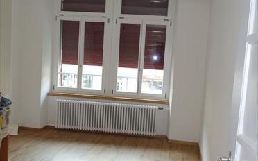 Appartement 3.5 pièces - image - 3