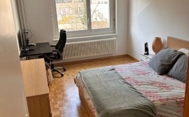 Appartement 3.5 pièces - image - 6