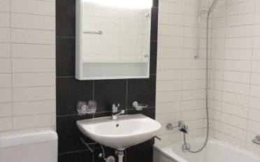 Apartment 4.5 rooms - image - 6