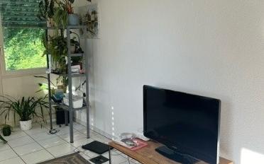 Wohnung 4.5 Zimmer - image - 2