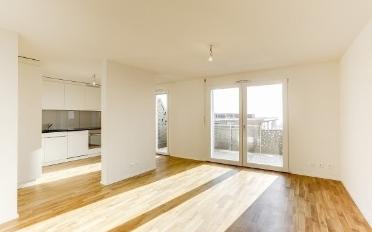 Wohnung 3.5 Zimmer - image - 2