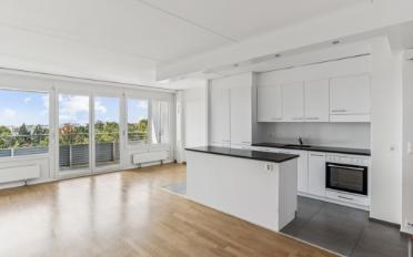 Wohnung 4.5 Zimmer - image - 3