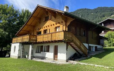 Chalet 9 pièces - image - 1