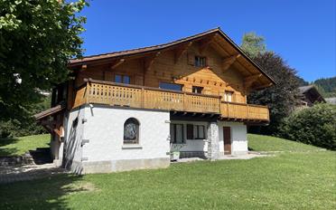 Chalet 9 pièces - image - 2