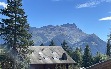 Chalet 9 pièces - image - 27