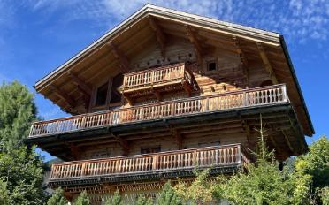 Chalet 7 pièces - image - 1