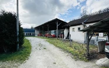 Ferme - image - 8