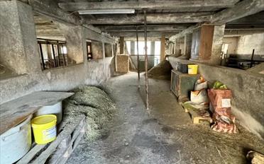 Ferme - image - 13