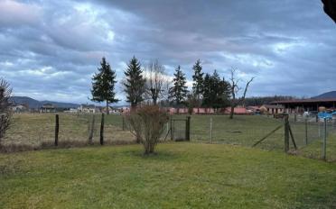 Einfamilienhaus - image - 3