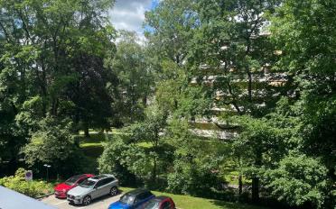 Wohnung 4 Zimmer - image - 12
