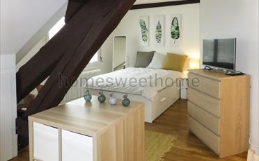 Appartement meublé 1.5 pièces - image - 3