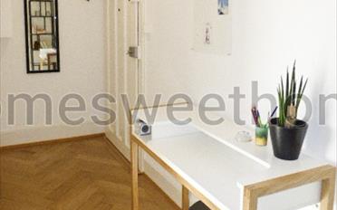 Appartement meublé 2 pièces - image - 5