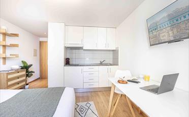 Furnished flat 1 room - image - 4