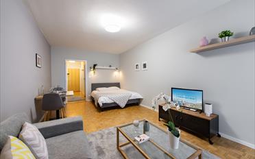 Furnished flat 1 room - image - 3