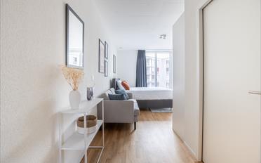 Studio ein Zimmer - image - 3