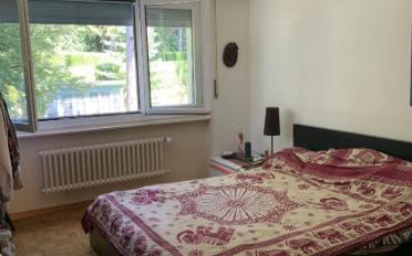 Apartment 2.5 rooms - image - 4
