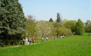 Villa - image - 1