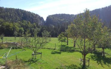 Appartement 1.5 pièces - image - 13