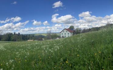 Appartement 2.5 pièces - image - 6