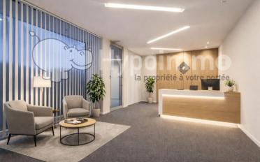 Office - image - 1