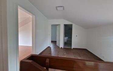 Doppeleinfamilienhaus 5.5 Zimmer - image - 12