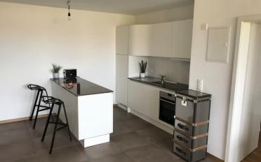 Appartement 2.5 pièces - image - 2