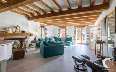 Einfamilienhaus 11 Zimmer - image - 3
