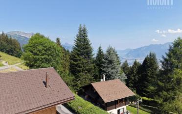 Chalet 5 rooms - image - 4
