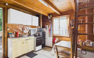 Chalet 3 Zimmer - image - 3