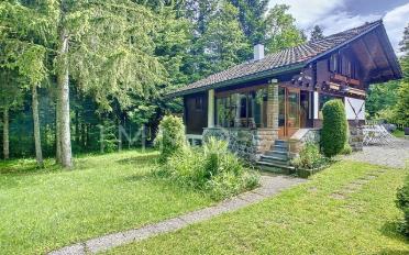 Chalet 4.5 Zimmer - image - 2