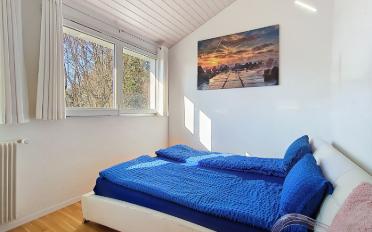 Villa 12.5 Zimmer - image - 16