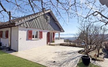 Single house 8 rooms - image - 13