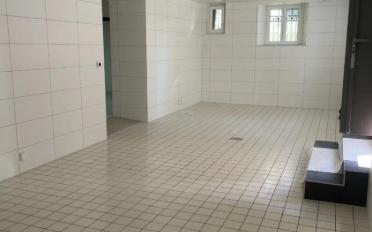 Shop 5 rooms - image - 3