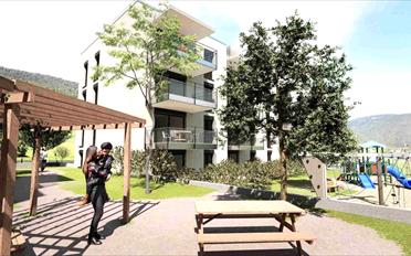Appartement - image - 4
