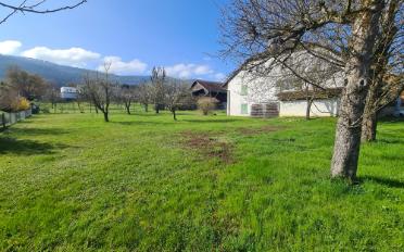 Ferme 5.5 pièces - image - 10