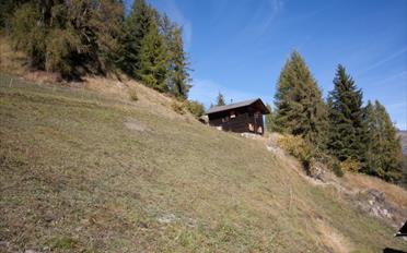 Chalet 3.5 pièces - image - 9