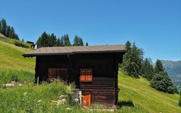 Chalet 4.5 Zimmer - image - 9