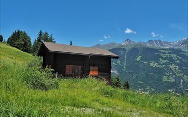 Chalet 4.5 Zimmer - image - 10