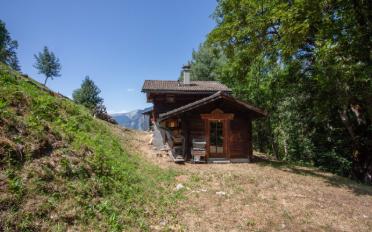 Chalet 2.5 pièces - image - 1