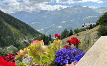 Chalet 5.5 pièces - image - 19